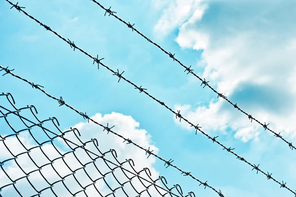 Wire fence — Stock Photo, Image