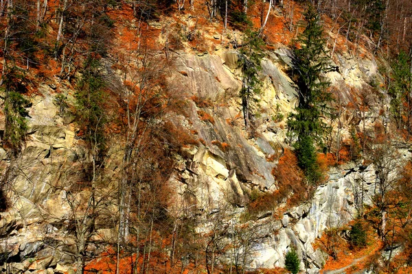 Vertical cliff in autumn colours — Stock Photo, Image