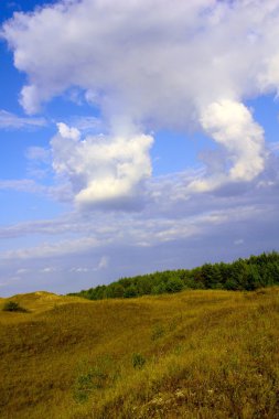 Mavi bir gökyüzü manzara
