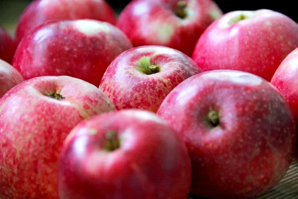 Manzanas rojas — Foto de Stock