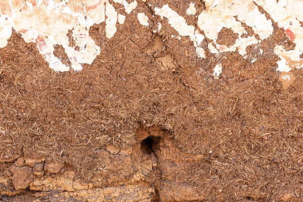 Close-up of an old adobe wall, a mixture of mud, straw, and exposed textures, with a small dark hole.