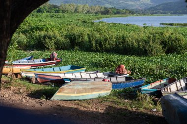 El Salvador 'daki Olomega Gölünün manzarası. Su bitkileriyle çevrili sakin bir göl manzarası