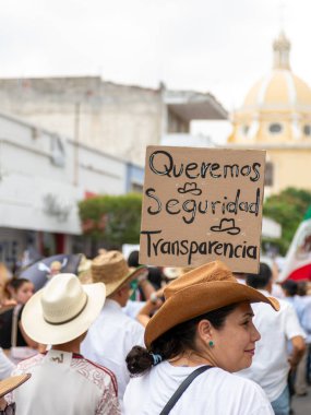 Colima, Colima. Meksika mı? 15 Kasım 2025. Z Nesli tarafından düzenlenen yürüyüş. Colima 'daki hükümeti protesto eden insanlar.