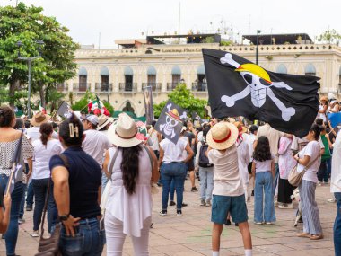 Colima, Colima. Meksika mı? 15 Kasım 2025. Z Nesli tarafından düzenlenen yürüyüş. Tek Parçalık bayrak sallayan çocuk.