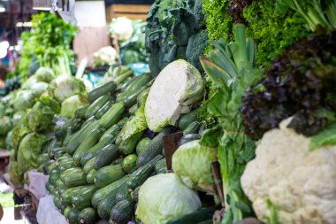 Taze ve canlı sebze çeşitleri satılık olarak sergilendi.