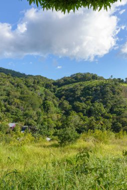 Lush Green Hill 'in dingin manzarası House ve Bulutlu Mavi Gökyüzü Sahnesi