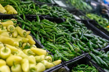 Taze ve canlı yeşil ve sarı acı biberler ekrana geliyor.