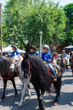 Colima, Colima, Meksika. 7 Şubat 2026: Geleneksel kıyafetler giyen dev figürler. Villa de Alvarez boğa güreşi fuarında Mojigangolar.