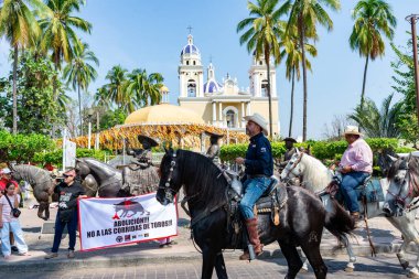 Colima, Colima, Meksika. 7 Şubat 2026: Villa de Alvarez 'de Charrotaurinas Fiesta Karşıtı Açık Hava Gösterisi