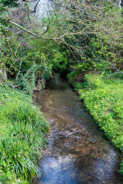 Bievres 'teki Bievre Nehri, Essonne Bölümü, Fransa. Bir zamanlar Seine Nehri 'nin bir kolu olan Bievre Nehri şimdi Paris' in kanalizasyonlarına akıyor.