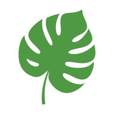 Modern dekor ve doğa için organik eğrileri ve cesur şekilleri harmanlayan leziz bir Monstera yaprağı çizimi