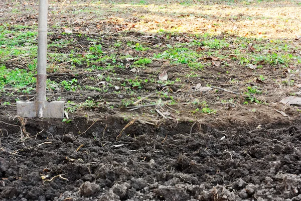 Den Bajonettspaten in den Boden gegraben. Konzept der Bodenvorbereitung für die Bepflanzung, Arbeit im Garten. Kopierraum. Freiraum für Text. Selektiver Fokus — Stockfoto