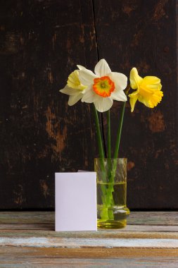 Three spring flower yellow and white daffodils in a glass vase with greeting blank card on old wooden background black. The Provence style, rustic. With space for text