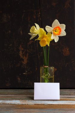 Three spring flower yellow and white daffodils with Golden wedding rings in glass vase with blank black greeting card on old wooden background