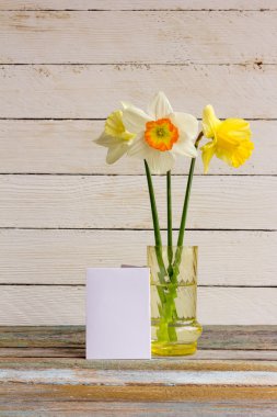 Beyaz ahşap arka plan üzerinde tebrik boş kart ile cam bir vazo üç bahar çiçek sarı ve beyaz nergis. Provence tarzı, rustik. Metin için alan