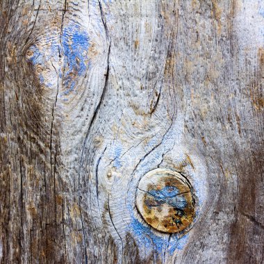 arka plan doku eski kurulları çatlaklar ve düğüm ile boyalı. metin kopyalama yeri olan kare fotoğraf