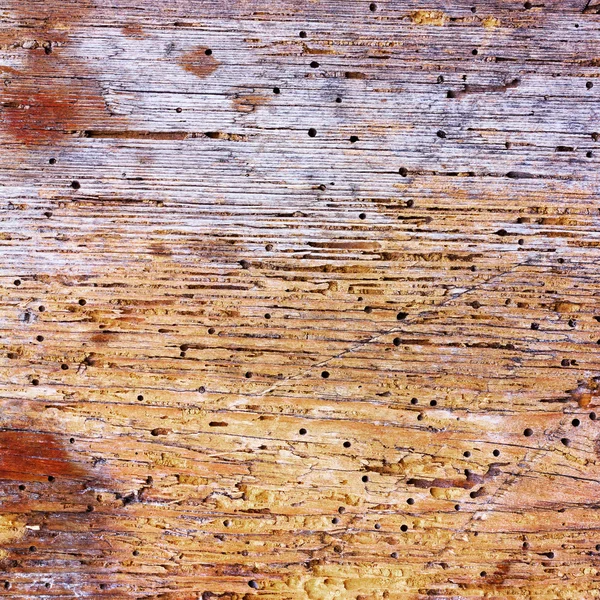 被虫子吃掉的老烂木头的纹理。方形图片与文本的副本空间 — 图库照片
