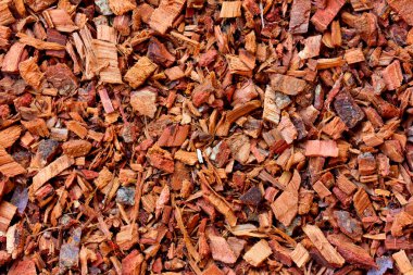 ezilmiş meşe kabuğu dokusu. çay İçecek, tıbbi ürün hazırlanması için bitkisel hammadde. Alternatif Tıp