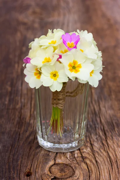 Bouquet de primevères jaune pâle dans des verres à vin en verre sur une vieille planche de bois dans les fissures — Photo