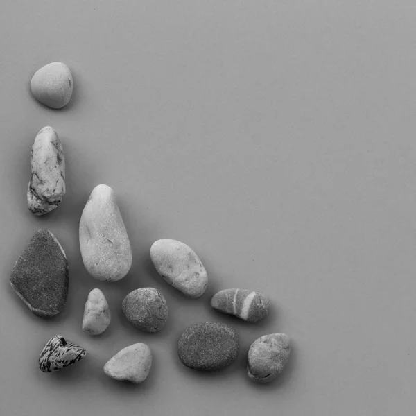 Ομαλή πέτρα ποταμού σε γκρι φόντο. Zen όπως έννοιες. τετράγωνη φωτογραφία. Ελεύθερος χώρος για κείμενο. Αντιγραφή χώρου. ασπρόμαυρη εικόνα — Φωτογραφία Αρχείου