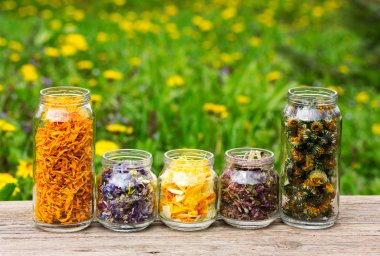 otlar ve çiçek yaprakları çiçek açması bahar meadows arka plan üzerinde kavanozların içinde. metin için yer ile. Aromaterapi, Homeopati, alternatif tıp kavramı