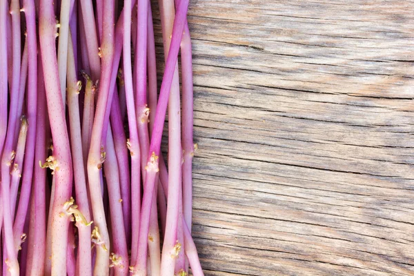 Achtergrond textuur paarse aardappel sprout op een oude houten bord met scheuren. ruimte voor tekst — Stockfoto
