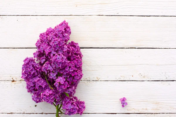 Bukiet kwiatów bzu fioletowy na tle białego drewna deski. z miejscem na zamieszczanie informacji — Zdjęcie stockowe