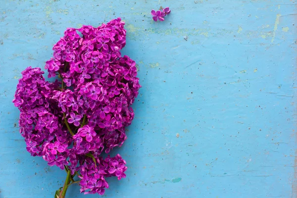 Bouquet de fleurs lilas violet sur fond de planche de bois bleu. avec espace pour afficher des informations — Photo