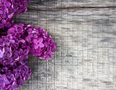 eski gri ahşap arka plan üzerinde mor Eflatun çiçekler buket