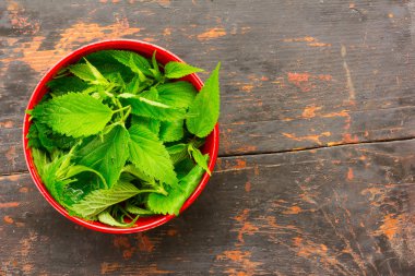 yaprakları taze yeşil ısırgan siyah kırmızı bir kapta çatlamak ile kahverengi ahşap zemin üzerinde