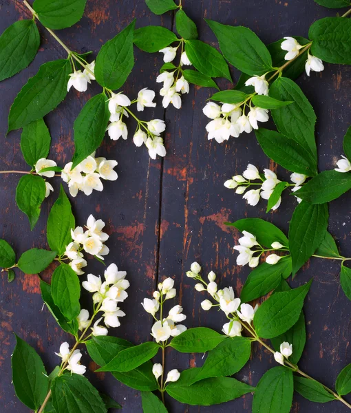 Een krans van witte jasmijn bloemen met groene bladeren met een oude zwarte houten bord met een barst — Stockfoto