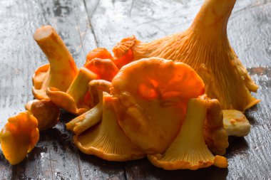 Taze kesilmiş çiğ sarı orman chanterelles eski siyah ahşap masa portre üzerinde mantar