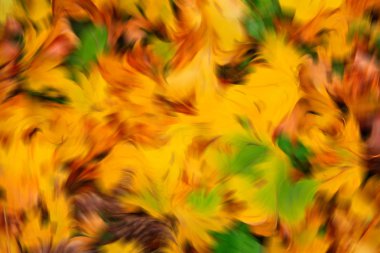 Dekoratif arka plan doku blur