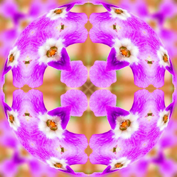 Абстрактний декоративний сферичний візерунок фіолетових квітів з ефектом калейдоскопа. для привітання або обгорткового паперу — стокове фото