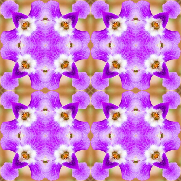 abstract  pattern of purple flowers with a kaleidoscope effect. for greetings or wrapping paper