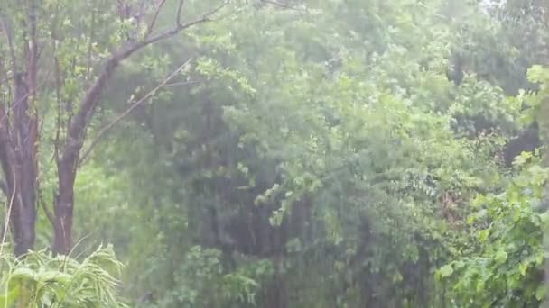 Atlantische tropische storm regen in de zomer — Stockvideo