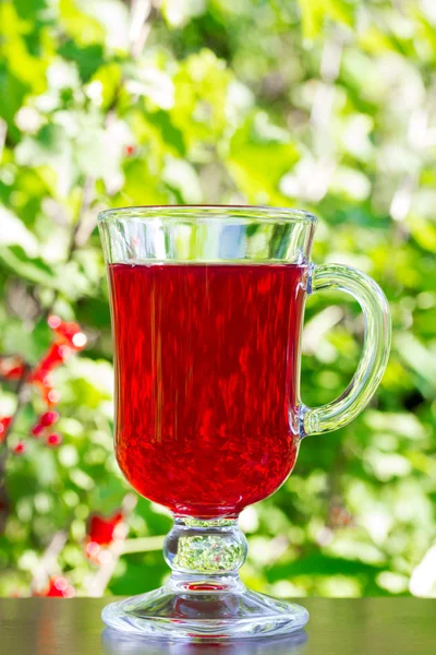 the glass with dark red cherry juice on natural green background closeup