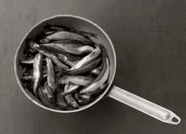 Raw fish capelin in the old aluminum colander on a gray background, top view. black and white photo — Stock Photo, Image