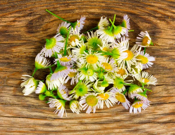 Apotheek daisy bloemblaadjes verspreid op het oude bord in de scheuren. Bekijk above close-up — Stockfoto
