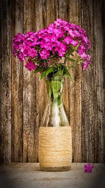 Bouquet de phlox dans un vase en verre sur un fond de vieilles planches de grange. photo tonique avec vignette. focus sélectif — Photo