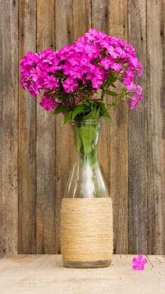 Bouquet de fleurs de phlox dans une bouteille en verre sur le fond de vieilles planches de grange. focus sélectif — Photo