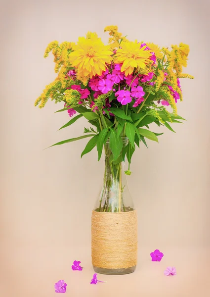 Un bouquet de fleurs de verge d'or, phlox et lis dans une bouteille en verre sur fond rose. photo tonique — Photo