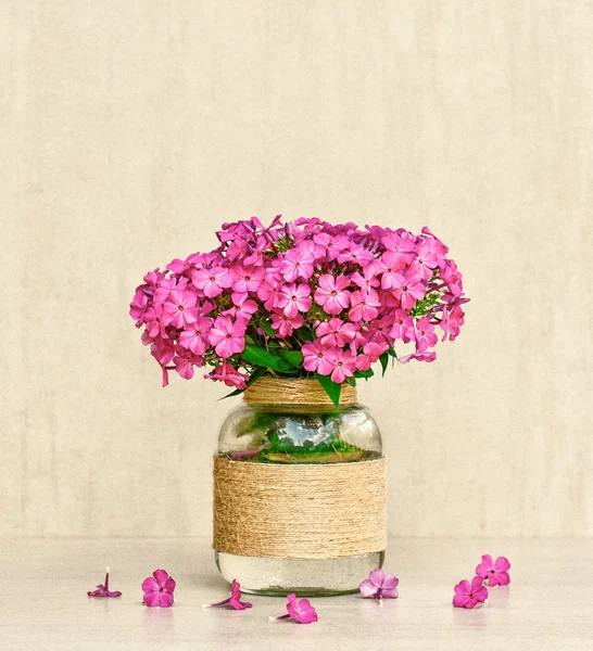 Buquê de flores de Phlox em vaso caseiro closeup em fundo cinza closeup. foto matizado — Fotografia de Stock