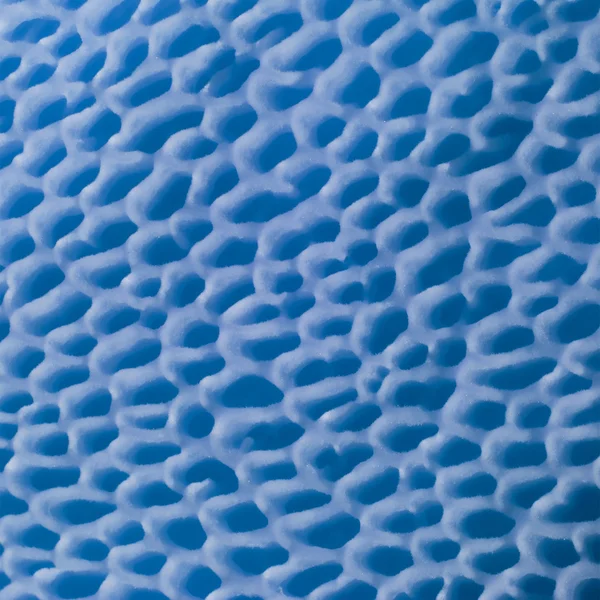 Abstract spongy texture of the bottom of the cap mushroom tinted blue. macro photo — Stock Photo, Image