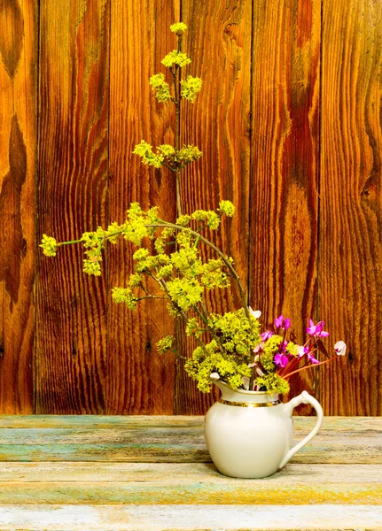 Branche florale de cornouiller et de fleurs de cyclamen dans une cruche blanche — Photo