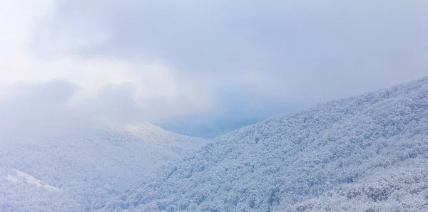 Colinas Del Bosque Las Nubes Nieve Madrugada Invierno —  Fotos de Stock