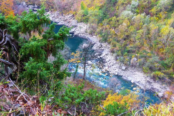 Bellissimo Paesaggio Autunnale Con Fiume Foresta Con Fogliame Colorato — Foto Stock