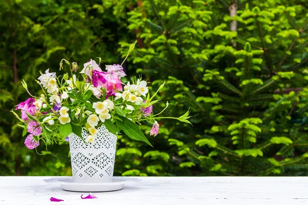 Bouquet Aquilegia Jasmin Trèfle Fleurs Dans Vase Blanc Sur Une — Photo