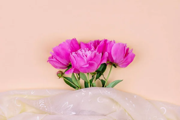 Buquê Flores Peônia Rosa Escuro Perto Tecido Rosa Fundo Cor — Fotografia de Stock