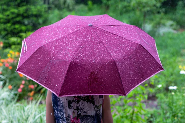 夏の雨の日に公園に紫色の傘を差した若い女性が — ストック写真